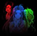 Rainbow Trio